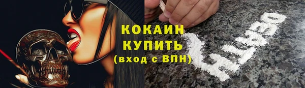 молекула духа Краснослободск