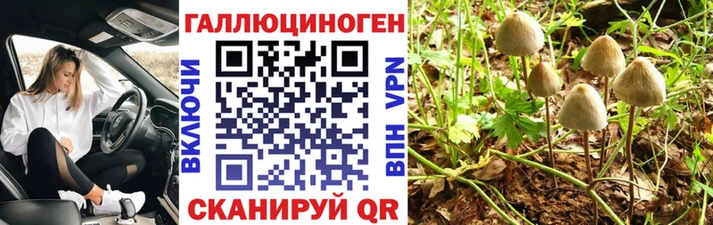 Купить где  Белогорск  Псилоцибиновые грибы ЛСД 